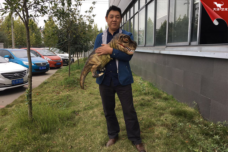 恐龍手偶，抱在手里的恐龍