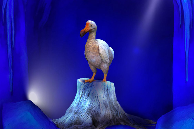 仿真動物-渡渡鳥